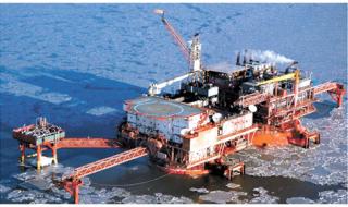 中海油天津分公司 中海油天津分公司